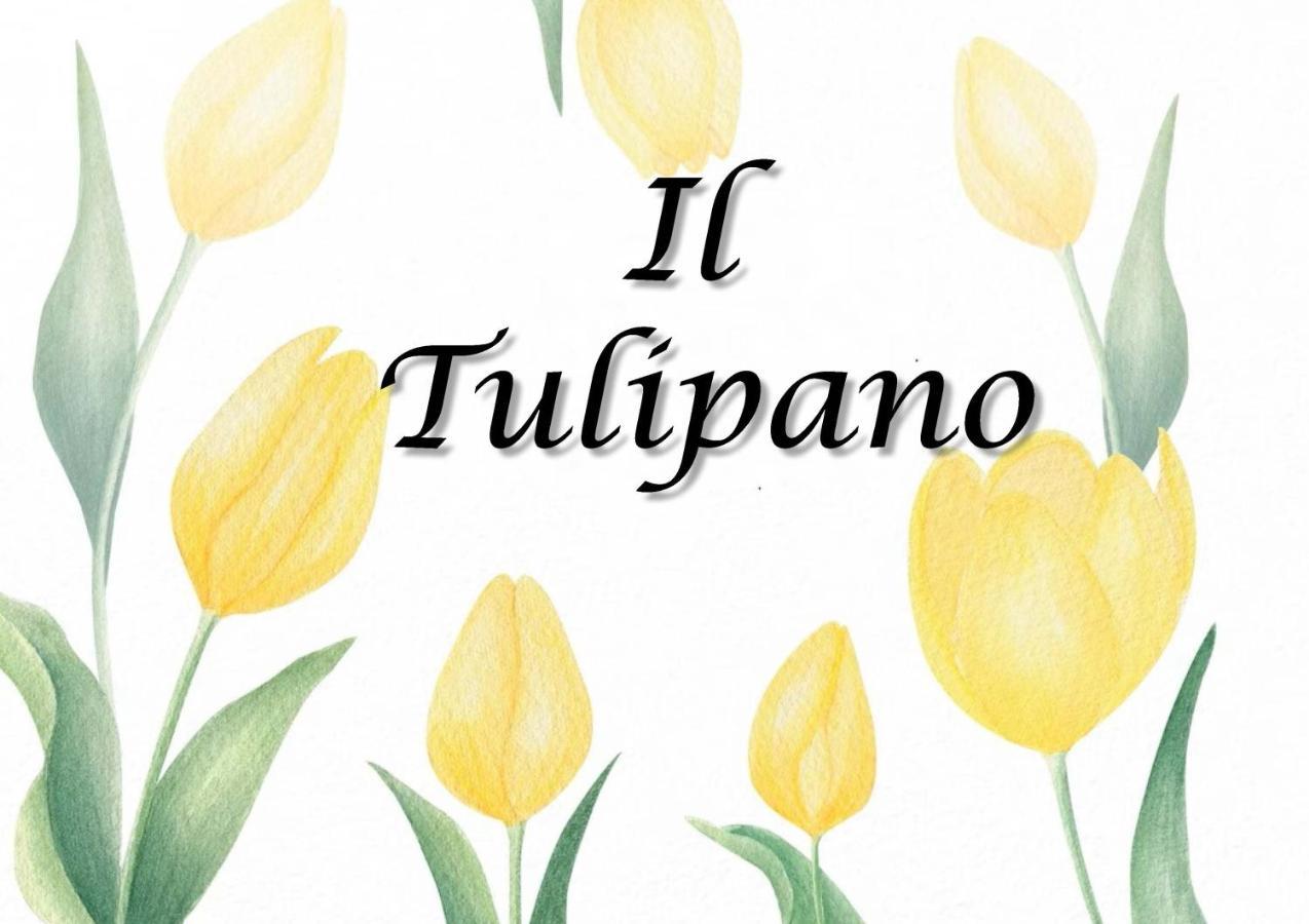 Il Tulipano Lägenhet Trezzano Rosa Exteriör bild